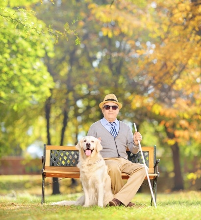 Senior blind gentleman sitting on a wooden bench with his labrador retriever dog, in a park, shot with a tilt and shift lens